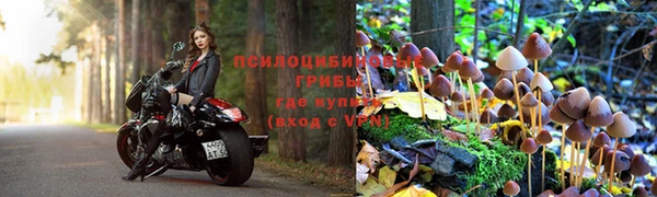 MDMA Premium VHQ Бугульма